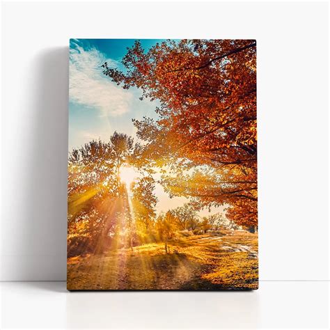 Jesenski gozd s pisanimi listi