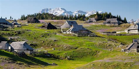 Velika planina v poletnem času